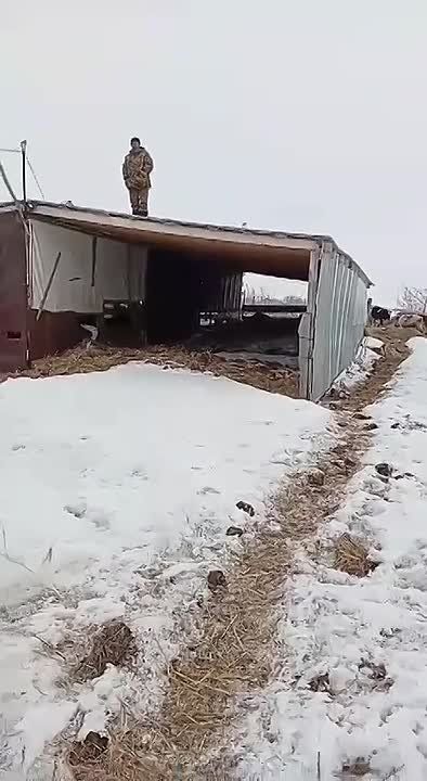 ������ ������: ������ �� ���� ���������� �������� ����� ���� ���� � ���� ������ �������