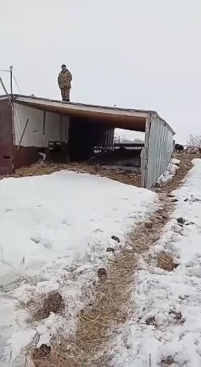 Сергей Мардан: Фермер из села Чернокурья угрожает сжечь себя если у него изымут скотину