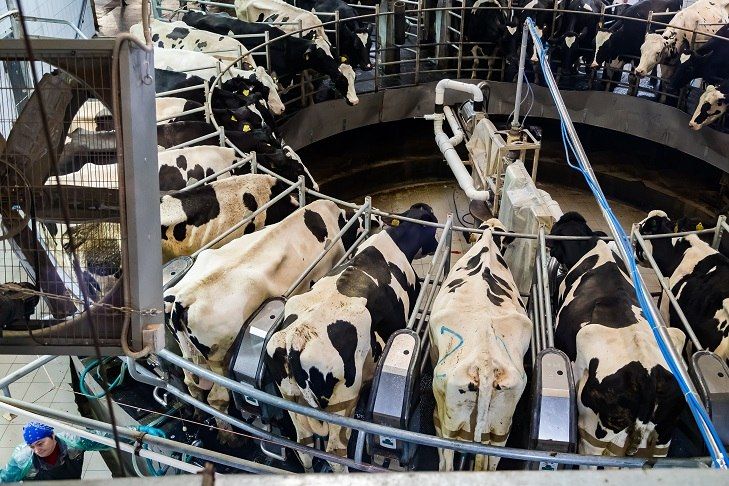 ������ ���������: 126 ����� ������������ �������� �� ���� ����� 45 ��� ������