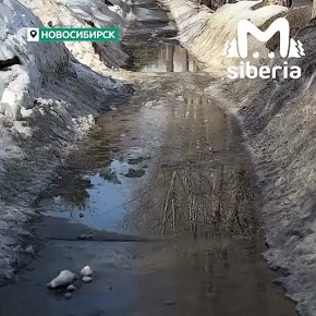 ������ ������� ��� ��������� � ����� ������ � �����������