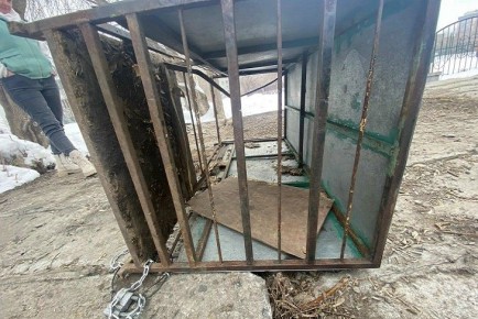 В Новосибирске неизвестные спасают бродячих собак из ловушек