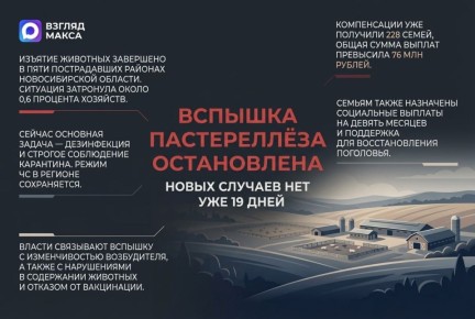 � ������������� ������� ��������� ������� �������� �� ������ ����������� � ���� ������������ �������