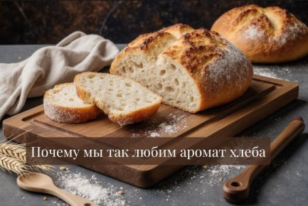 ������ ���� � ������ �������: ��� ��� ���������� �������� �����������