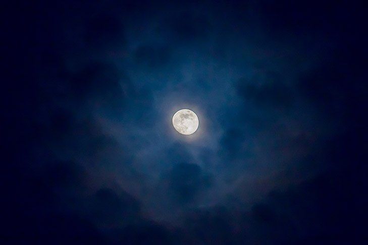 �����������, ������� ������� ������� � ����!