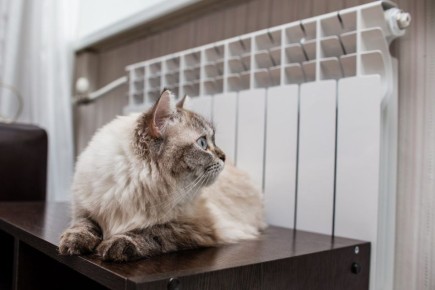 � ������� ������������� ��� ������� ����������� �������������