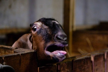 ������� ����� � ������ ������������ ��������� � ������������� �������, �������� � ������������� �������