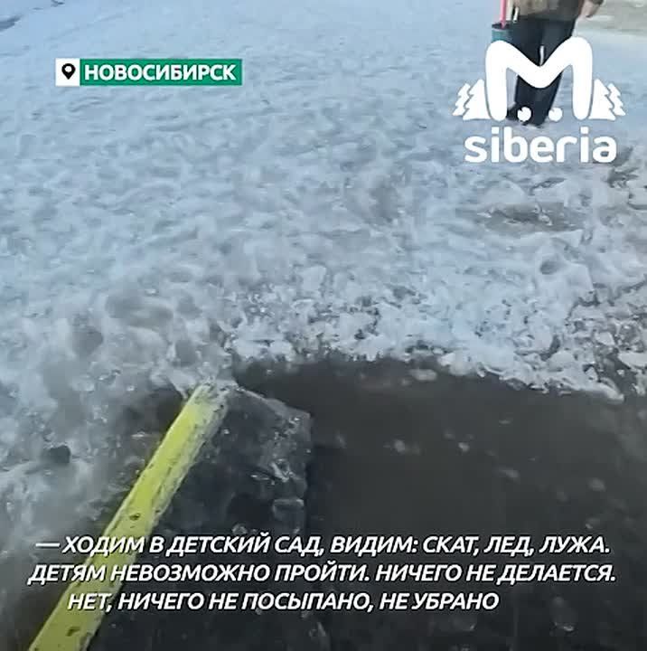 ���� � ������� ����� � ���� �� ����� � ������ � 390 � ������������