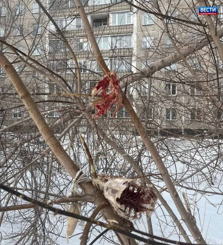 ����� �� ��������. �� ����� ���� �28 �� ����� �������� � ������������ ������� ������ ����� ����������� ��������� �������: