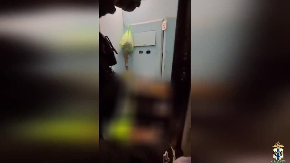 В рамках ранее возбужденного уголовного дела по факту мошенничества в сфере страхования задержаны жители областного центра