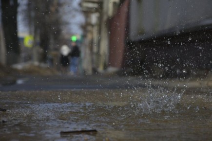 ������ ����, �����������!. � ������� ����� ����� �����, �� ���� ������� ������