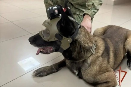 ����� ���� � ������� ����������� ��� ����� ���������� � ������������