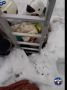 В Новосибирске спасатели вытащили лабрадора из полутораметровой ямы