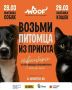 В Новосибирске состоится благотворительный фестиваль для животных «WOOF»