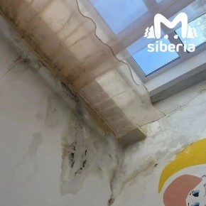 ������ ����������� �������� � ������������� �������