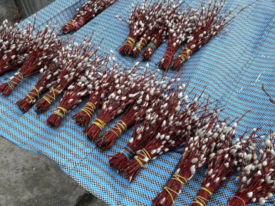 � ������������ ������ ��������� ����� � ���������