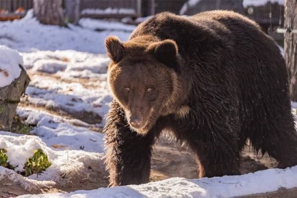 ������������� ������� ����������� ����� ������ � 30 �����