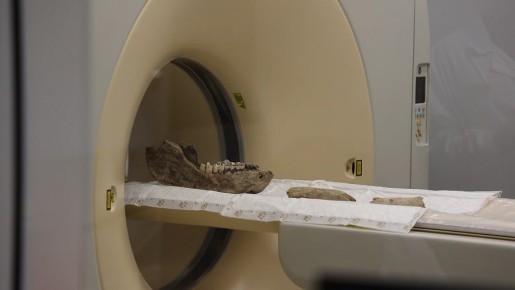 ������ ��� ������� ������������� ������� ����������� �������� �� ��