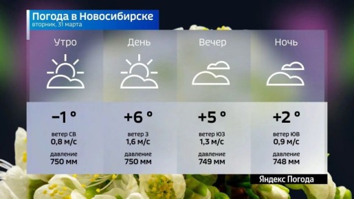Прогноз погоды на 31 марта 2026 года в Новосибирской области