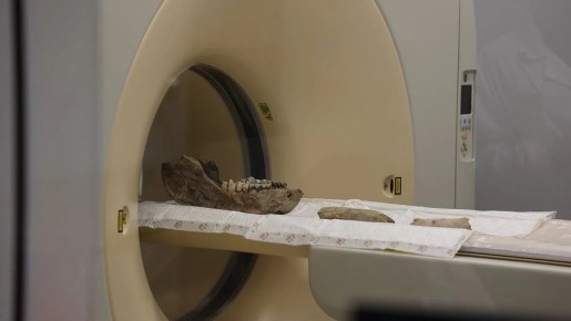 ������ ��� ������� ������� ������������ �������� ����������� �������� �� ������������ ���������