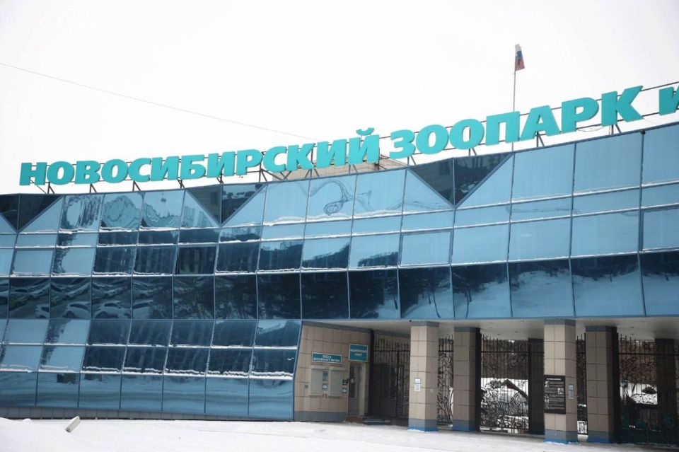 ������ ��������� ���������������� ������� � ������������� ��������