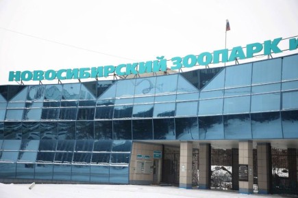 ������ ��������� ���������������� ������� � ������������� ��������