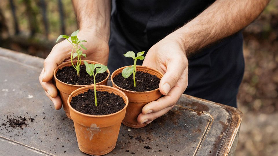 ��� ��������� ������� ������� � ���������� ������ ������ �� ����