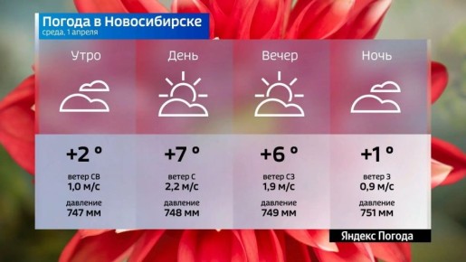 Прогноз погоды на 1 апреля 2026 года в Новосибирской области