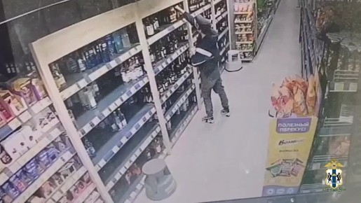 В Новосибирске сотрудниками полиции задержан подозреваемый в грабеже