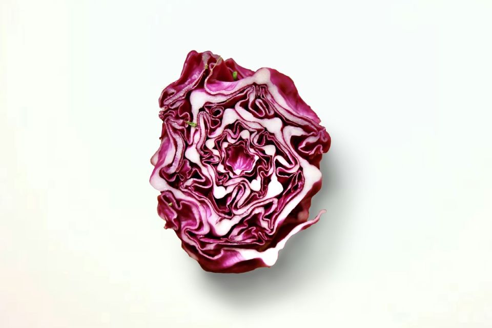 ��� ��������� ��������� ������� ����: ������� �������� � ����������