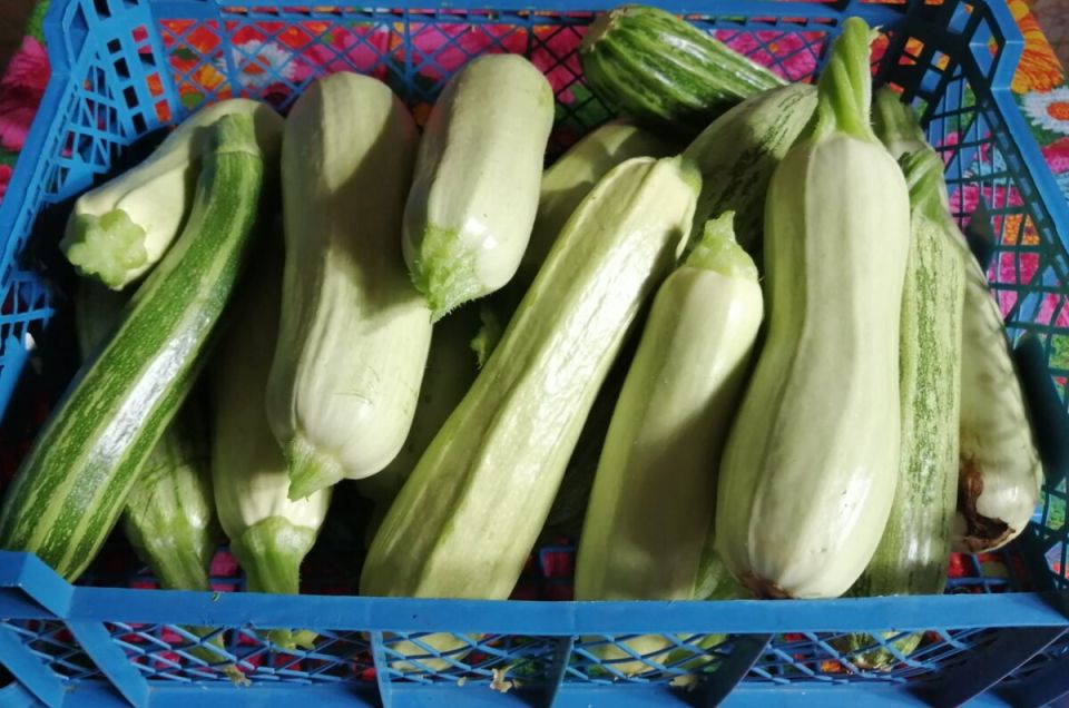 ��������� ����� �� �������� � ������� � ��������