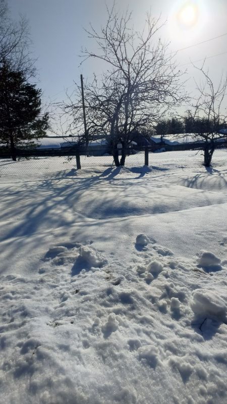 ���������� �����: ��� ����� � �������� ��� ��������� �����