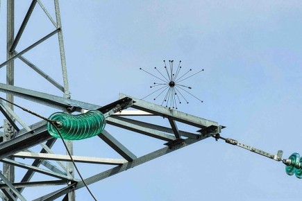 На новосибирских ЛЭП появились «иголки ежа» для спасения птиц