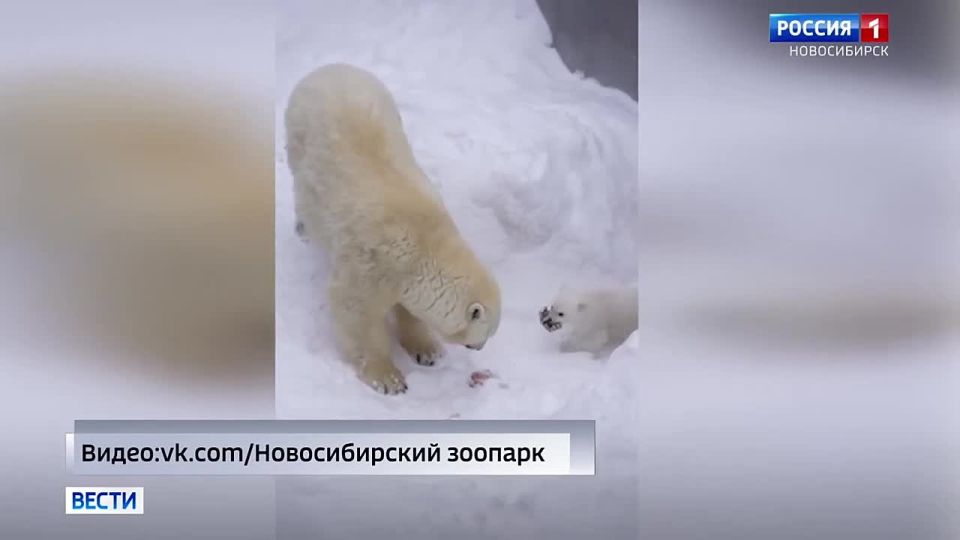 ��� �������. � ��������� ���� ����� � ������������� �������� �������� ������� ������� ������ �����