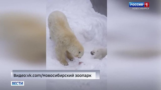 ��� �������. � ��������� ���� ����� � ������������� �������� �������� ������� ������� ������ �����