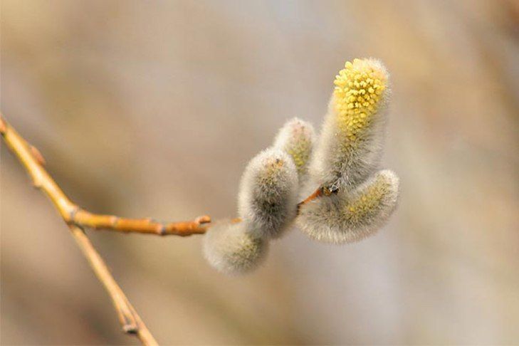 �� +10 �������� ��������� � ������������ � ���� ������� �����������