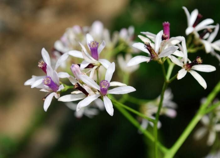 ���������� ����� ��������: �� ��������� ������� �� ����������� �����