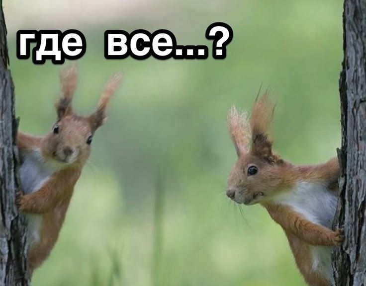 ����� � ������������: ������ ������ ������� �� � ���