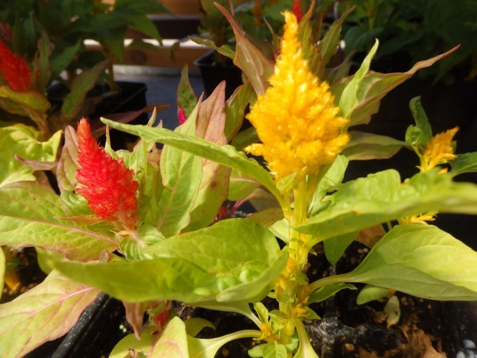 �������� ������: 13 ����� �������� ��� ��������� ������ ����