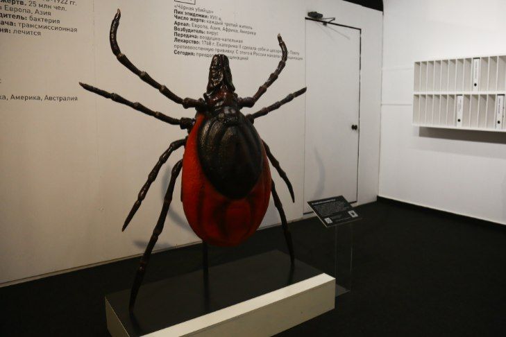 ����� ������������ ������ � ���� �������� � ������������