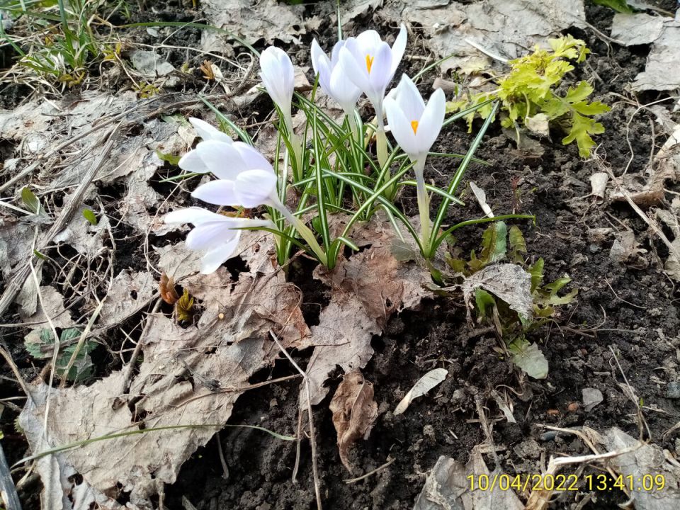 ����� ������ ��� ��� � ���: �������� ������� � ��������