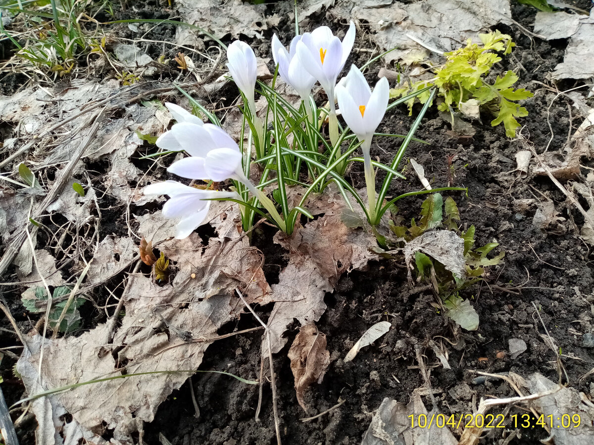 Какая погода нас ждёт в мае: народные приметы и прогнозы