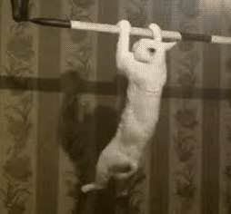 ������ � ������������: ��� ���������� ��� �������� �����