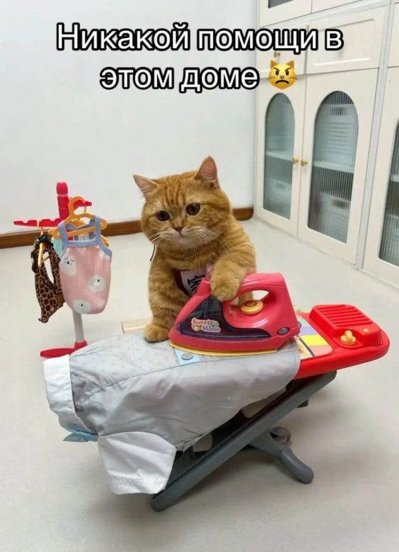 ���-10 ��������� ��� ��������� �������� ������