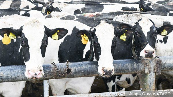 �� ���, �������� ����������� � �� ���� ������� �������� �������, ��� ������������