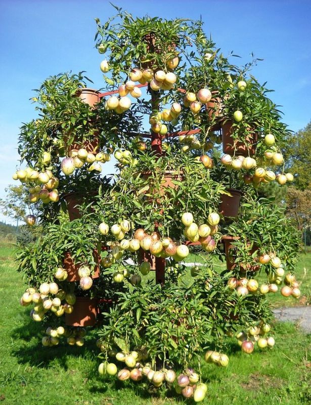 ������: ������������ ������ ����� ��� ��������� ����������