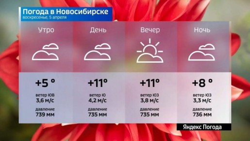 Прогноз погоды на 5 апреля 2026 года в Новосибирской области