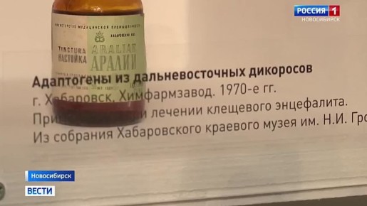 Научный подвиг. В Новосибирске открылась выставка-детектив «Клещ. Поймать с поличным», посвящённая экспедициям вирусологов на Дальний Восток в 1930-е годы