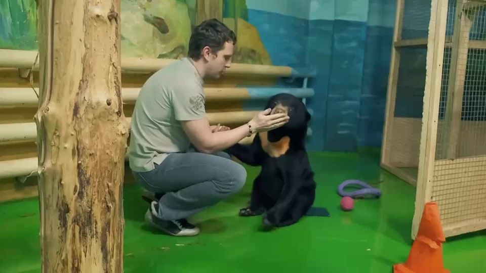 � ������������� �������� � ��������! ���������� ������ ��������� ���������