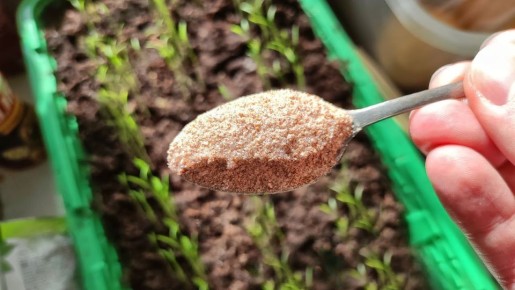 ����� �������� ������ �����? ��� ������� ���� �������� ���� �������