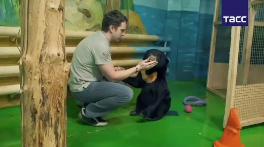 ������� ��������� ���������, ��� ������� ��������� ��� ������� ������������, ��������� � ������������� �������� ��. ����